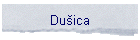 Duica