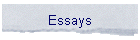 Essays